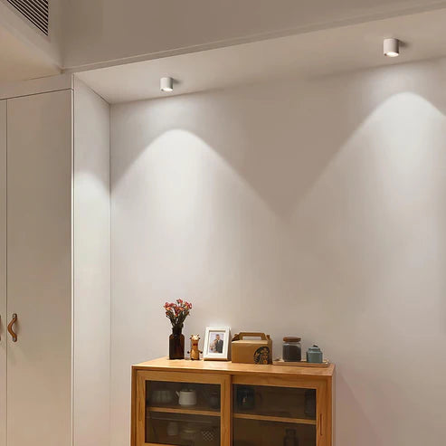 LED Surface Mount Ceiling Spotlight | 2 Colors | Qonforta