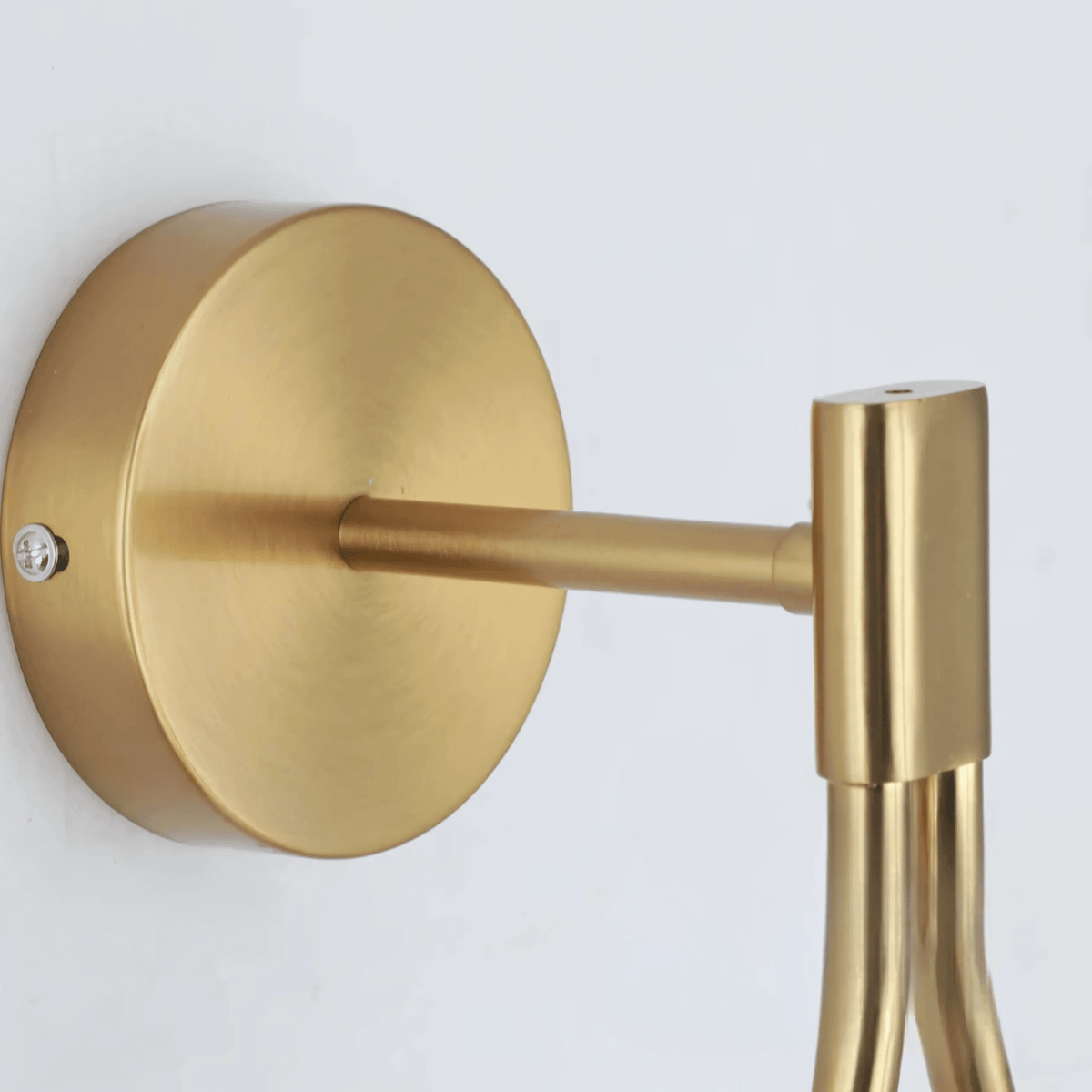 Brushed brass round wall plate and arm of the teardrop wall sconce