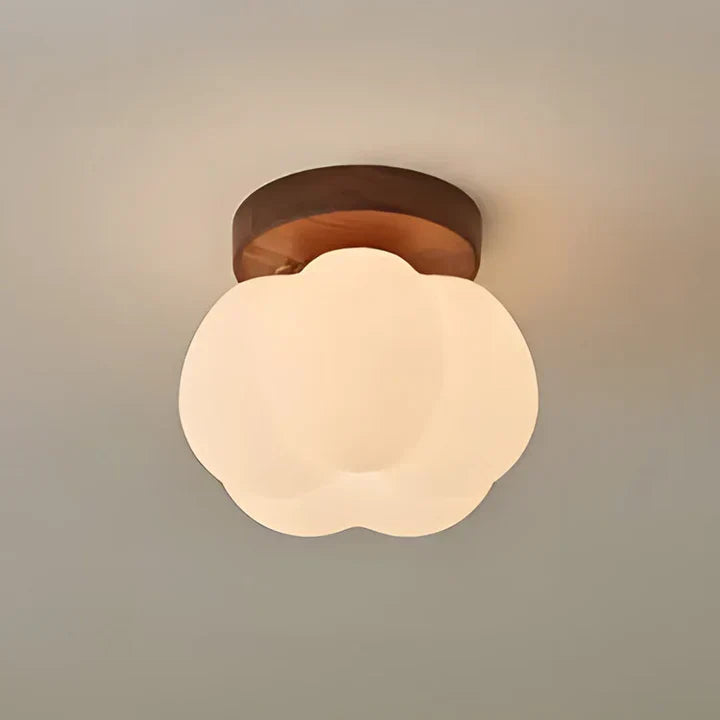 Ceiling lights